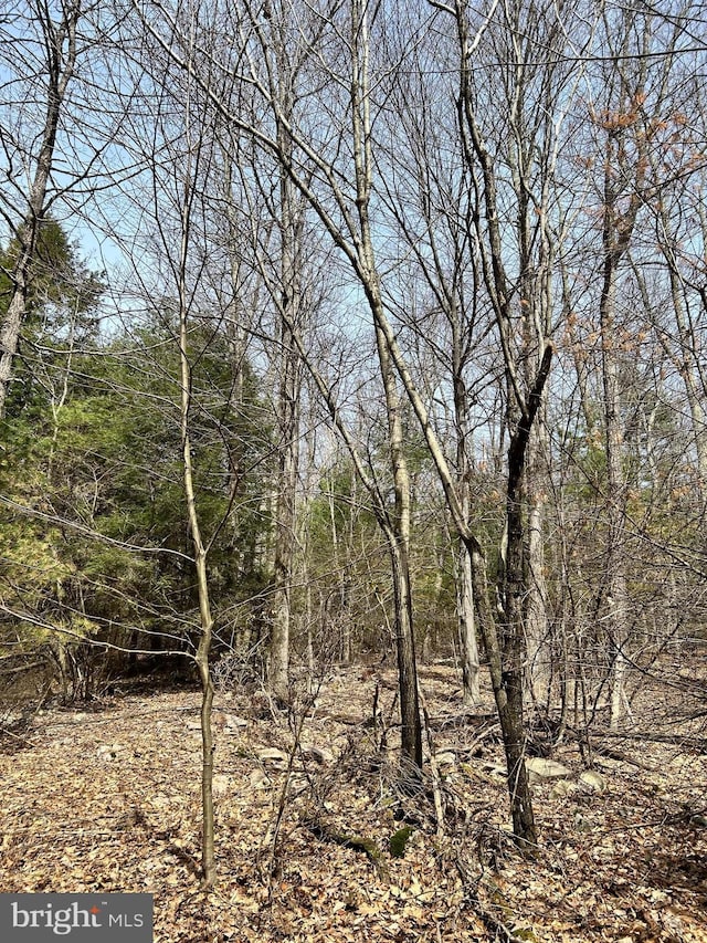 385 Elk Crk, Aaronsburg, PA 16820 - view of nature featuring a forest view