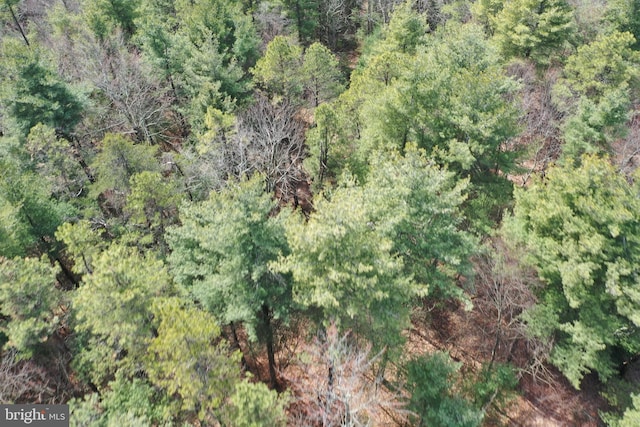 385 Elk Crk, Aaronsburg, PA 16820 - bird's eye view featuring a forest view