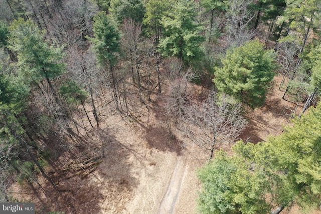 385 Elk Crk, Aaronsburg, PA 16820 - birds eye view of property with a forest view