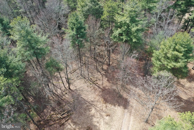 385 Elk Crk, Aaronsburg, PA 16820 - drone / aerial view featuring a view of trees