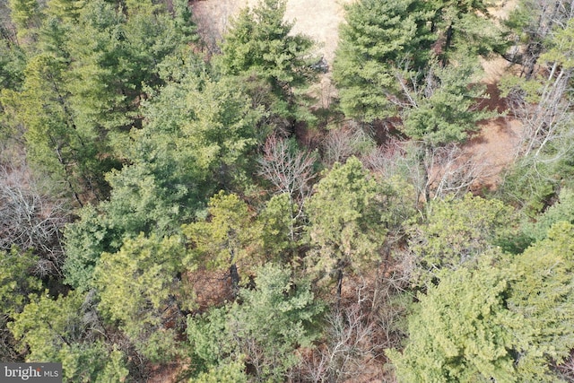 385 Elk Crk, Aaronsburg, PA 16820 - birds eye view of property featuring a view of trees