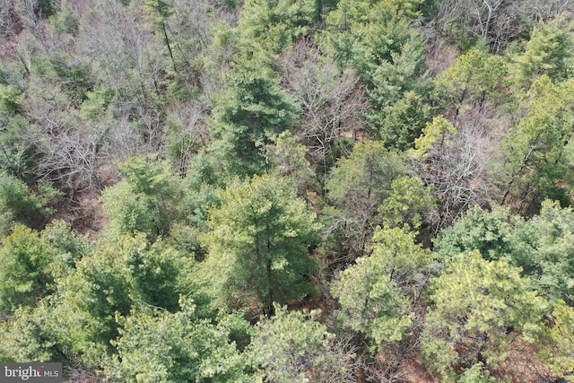 385 Elk Crk, Aaronsburg, PA 16820 - bird's eye view with a forest view