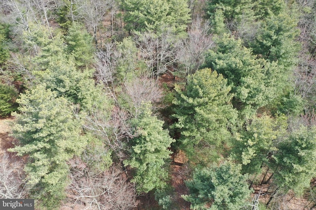 385 Elk Crk, Aaronsburg, PA 16820 - aerial view featuring a forest view