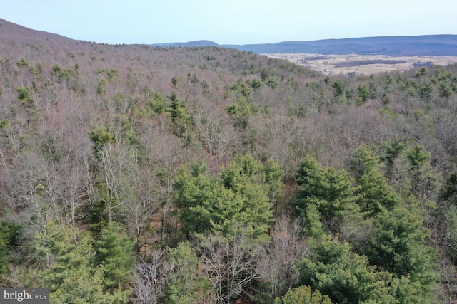 385 Elk Crk, Aaronsburg, PA 16820 - view of mountain feature featuring a wooded view