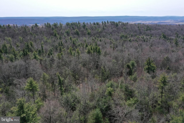 385 Elk Crk, Aaronsburg, PA 16820 - aerial view with a wooded view