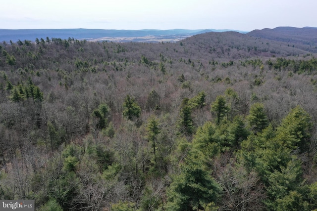 385 Elk Crk, Aaronsburg, PA 16820 - view of mountain feature featuring a wooded view