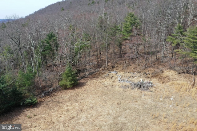 385 Elk Crk, Aaronsburg, PA 16820 - property view of mountains with a forest view