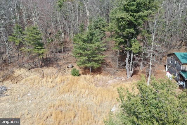 385 Elk Crk, Aaronsburg, PA 16820 - view of local wilderness featuring a wooded view