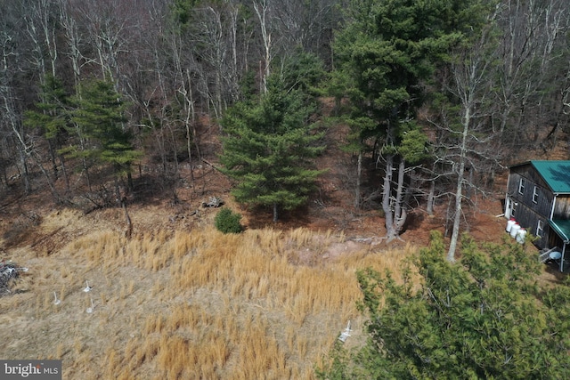 385 Elk Crk, Aaronsburg, PA 16820 - view of landscape with a forest view