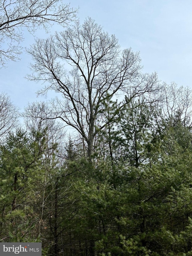 385 Elk Crk, Aaronsburg, PA 16820 - view of landscape