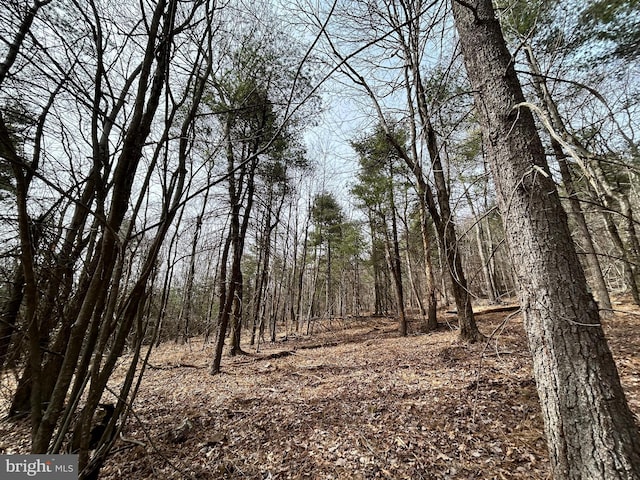 385 Elk Crk, Aaronsburg, PA 16820 - view of local wilderness