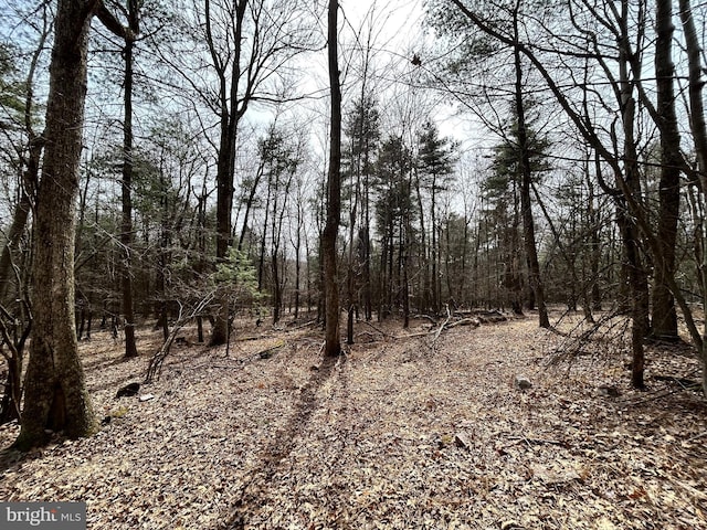 385 Elk Crk, Aaronsburg, PA 16820 - view of landscape