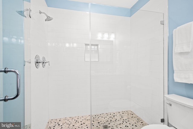 205 16th St SE, Washington, DC 20003 - full bathroom with a stall shower and toilet