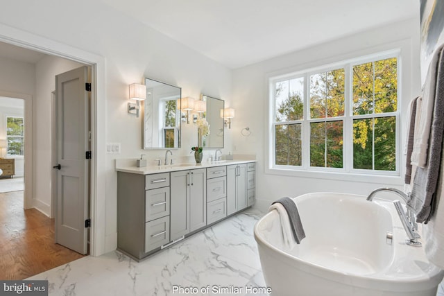 bathroom with double vanity, a soaking tub, a wealth of natural light, and a sink