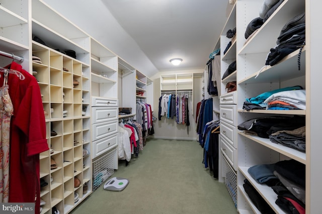 walk in closet featuring light carpet