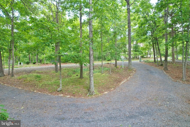 277 Anderson Rd, Basye, VA 22810 - view of road