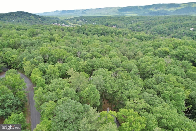 277 Anderson Rd, Basye, VA 22810 - bird's eye view of a forest and a mountain backdrop