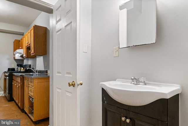 2609 Keyworth Ave, Baltimore, MD 21215 - bathroom featuring vanity and wood finished floors