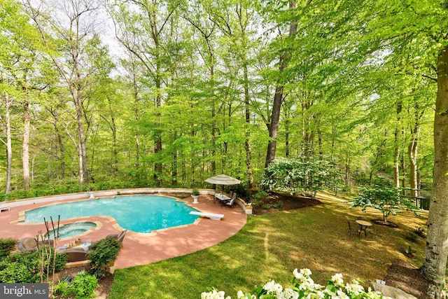 outdoor pool featuring a view of trees, a diving board, an in ground hot tub, and a patio area