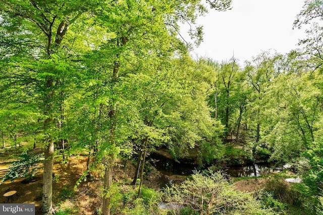 view of local wilderness