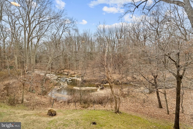 view of nature