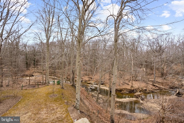 view of landscape