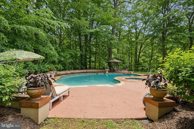 1342 Potomac School Rd, Mclean, VA 22101 - outdoor pool featuring a patio area