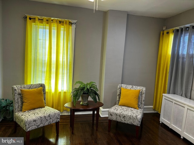 sitting room with radiator heating unit, plenty of natural light, and wood finished floors