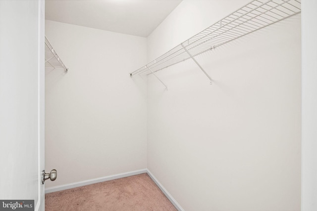 396 Delmar St, Philadelphia, PA 19128 - walk in closet featuring light colored carpet