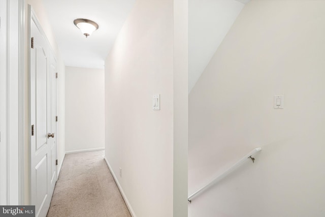 396 Delmar St, Philadelphia, PA 19128 - hallway with carpet flooring and baseboards