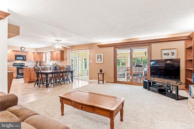 3672 Cimmeron Rd, York, PA 17402 - living area with baseboards and a ceiling fan