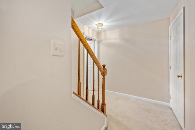 11 Ashbrook Rd, Stafford, VA 22554 - stairs featuring carpet flooring and baseboards