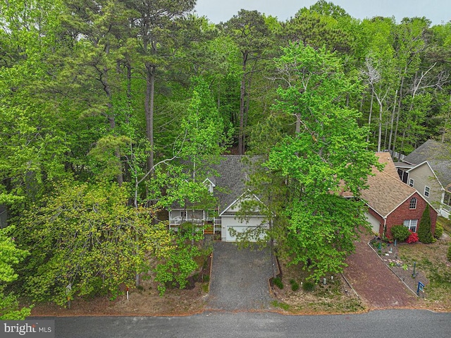 aerial view