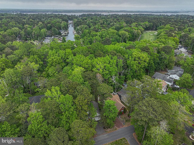 aerial view featuring a water view and a wooded view