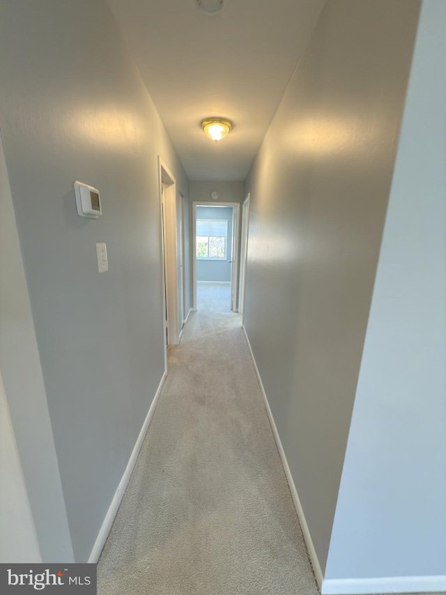 1415 Northgate Sq Unit 15/21B, Reston, VA 20190 - hallway with baseboards and light carpet