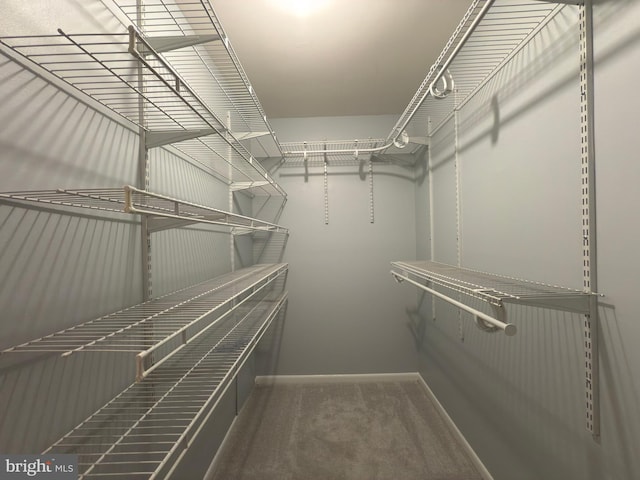 1415 Northgate Sq Unit 15/21B, Reston, VA 20190 - walk in closet featuring carpet