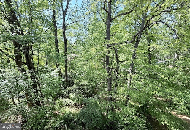 1415 Northgate Sq Unit 15/21B, Reston, VA 20190 - view of landscape featuring a wooded view