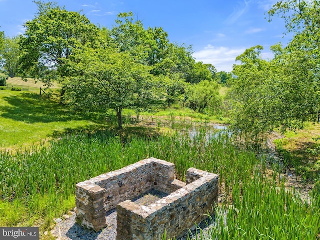 9425 Blackpond Ln, Delaplane, VA 20144 - view of yard