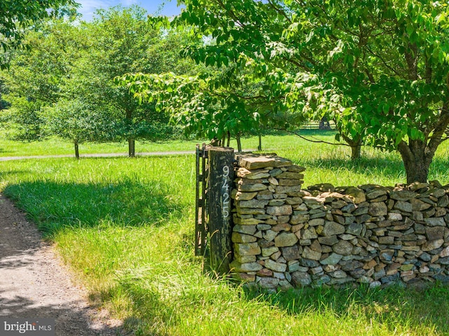 9425 Blackpond Ln, Delaplane, VA 20144 - view of yard