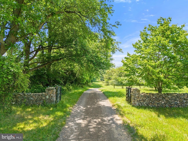 9425 Blackpond Ln, Delaplane, VA 20144 - view of dirt / gravel road