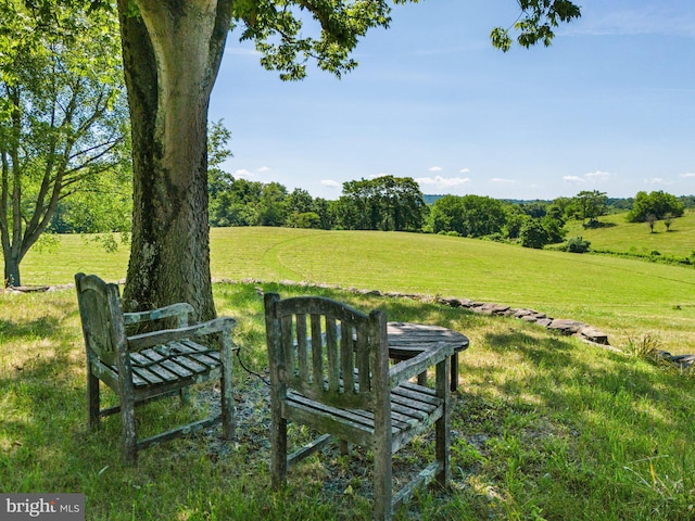 9425 Blackpond Ln, Delaplane, VA 20144 - view of green lawn