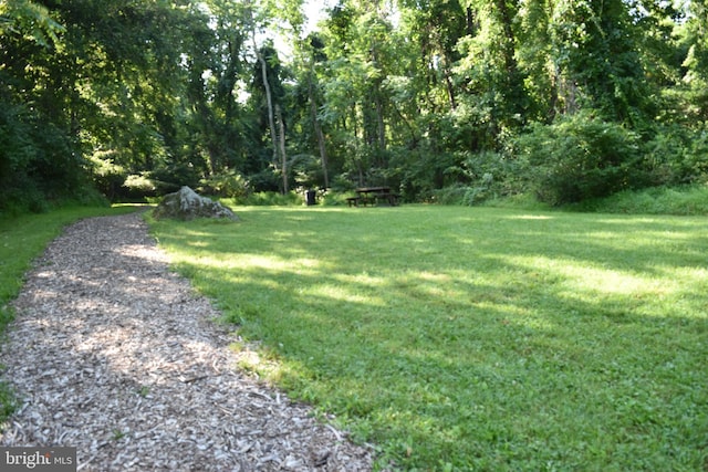 view of green lawn with a view of trees