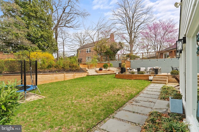 4600 Blagden Ter NW, Washington, DC 20011 - view of yard featuring a trampoline and a vegetable garden