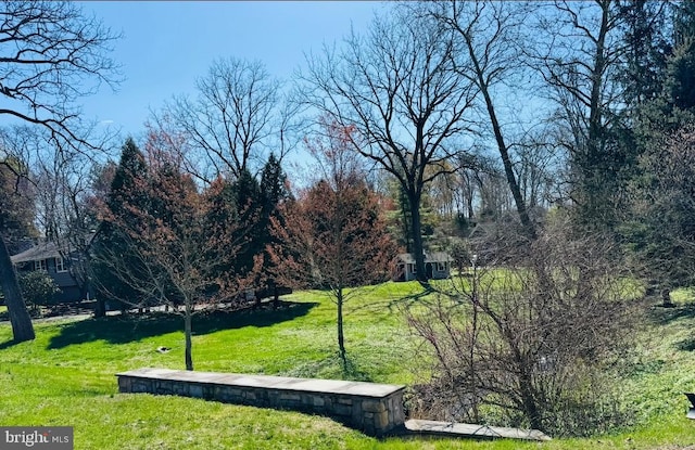 7 Walton Dr, New Hope, PA 18938 - view of home's community with a lawn