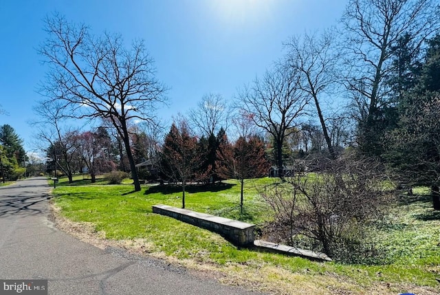 7 Walton Dr, New Hope, PA 18938 - view of community with a lawn