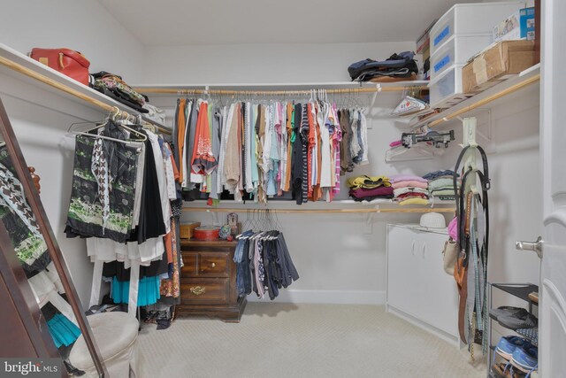 spacious closet featuring carpet flooring