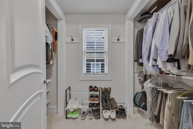 view of walk in closet