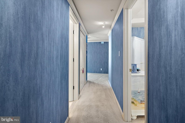 12201 Wight St Unit 301, Ocean City, MD 21842 - corridor featuring carpet floors