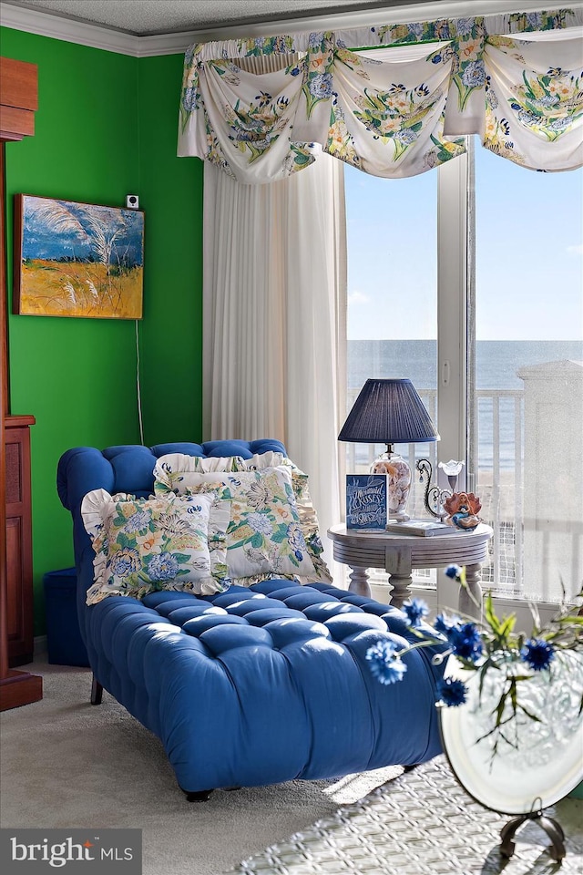 12201 Wight St Unit 301, Ocean City, MD 21842 - view of carpeted bedroom