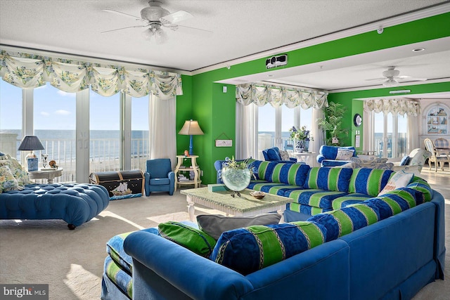 12201 Wight St Unit 301, Ocean City, MD 21842 - carpeted living room with ceiling fan, a textured ceiling, and a water view